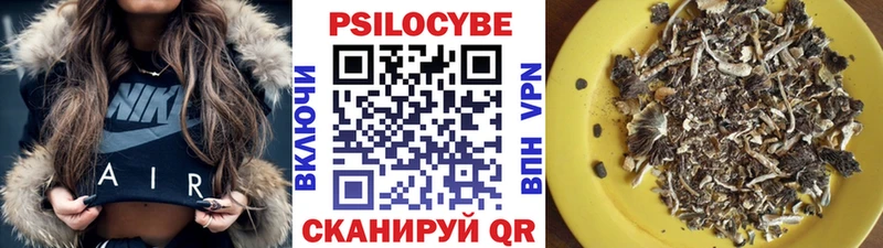 Купить закладки  Осташков  Псилоцибиновые грибы мицелий 