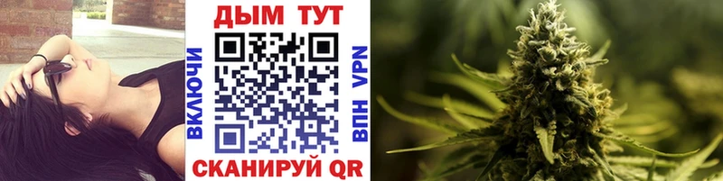 Купить  Осташков  Конопля семена 
